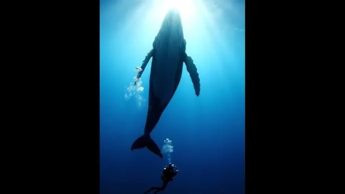 万圣节成就攻略 - 深蓝星球：探索海洋深处的未知世界